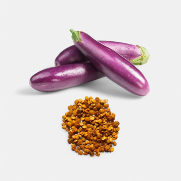 Brinjal Long Seeds 3GM