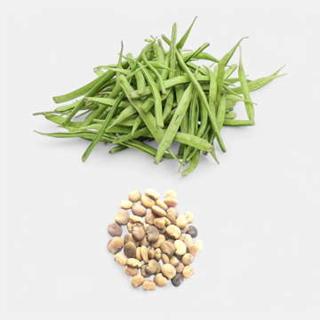 Gawar Phali - Cluster Beans Seeds