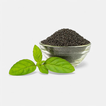 Holy Basil Seed