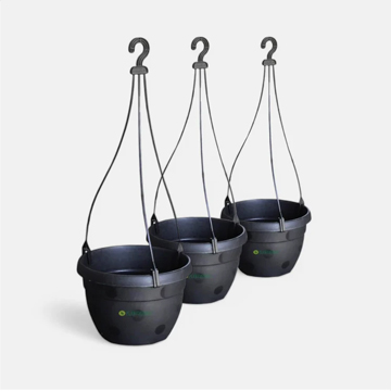 Blossom Hanging Basket Black