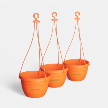 Blossom Hanging Basket Orange