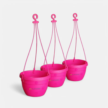 Blossom Hanging Basket Pink