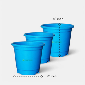 Blossom Pot Blue 6 inch