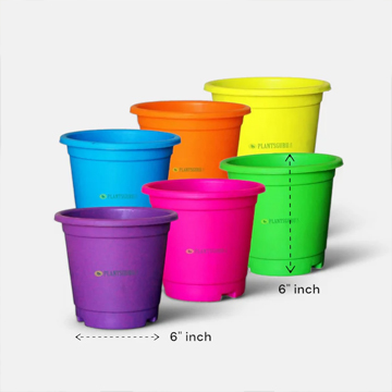 Blossom Pot Mix Color 6 inch