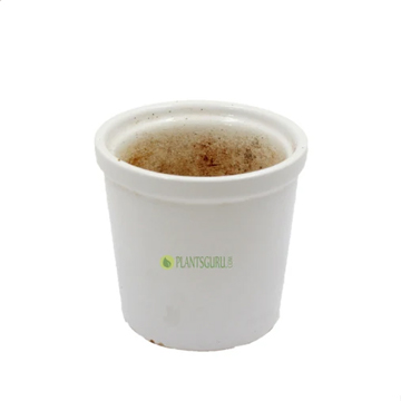Ceramic Pot Round 4inch