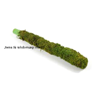 Moss Stick