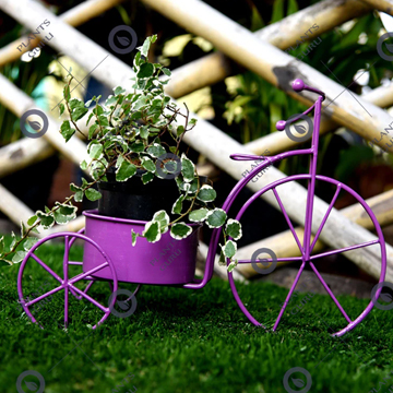 Plant Container Purple Cycle